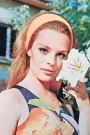 Hülya Koçyiğit Film ve Dizileri