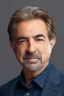 Joe Mantegna Film ve Dizileri