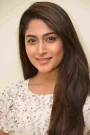 Nishvika Naidu Film ve Dizileri