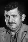 Nizam Ergüden Film ve Dizileri