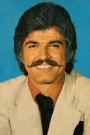 Serdar Gökhan Film ve Dizileri