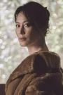 Yu Feihong Film ve Dizileri