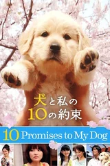 犬と私の10の約束