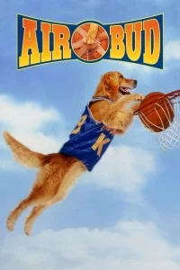 Harika Köpek: Sayı Kralı Buddy