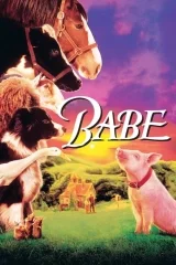 Bebe