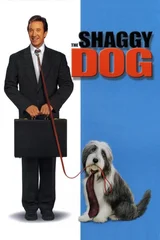 Bak Şu Köpeğe