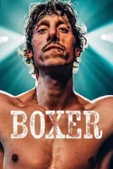 Bokser