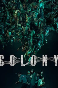 Colony