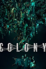 Colony