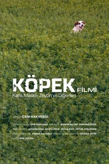 Köpek Filmi