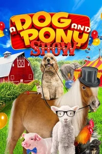 Köpek ve Midilli