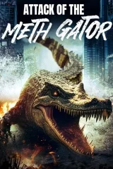 Meth Gator'a Saldırı