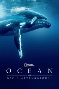 David Attenborough ile Okyanuslar