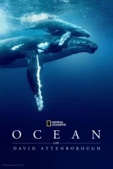 David Attenborough ile Okyanuslar