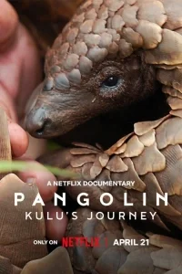 Pangolin: Kulu'nun Yolculuğu