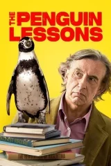 Penguen Dersleri