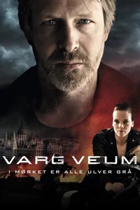 Varg Veum - Gece Tüm Kurtlar Gridir