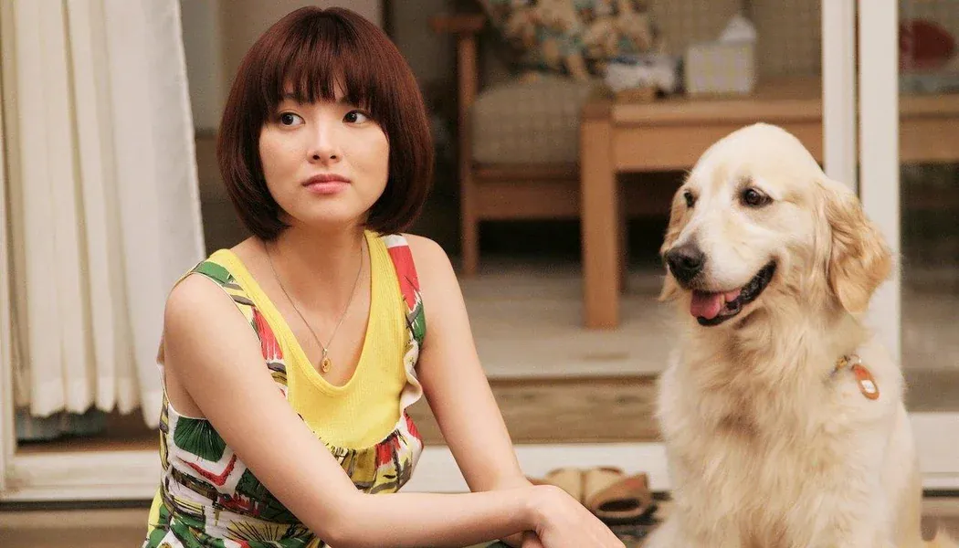 犬と私の10の約束 izle