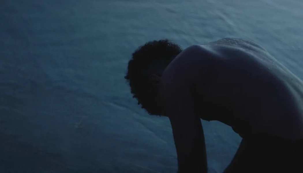 Alieu the Dreamer izle
