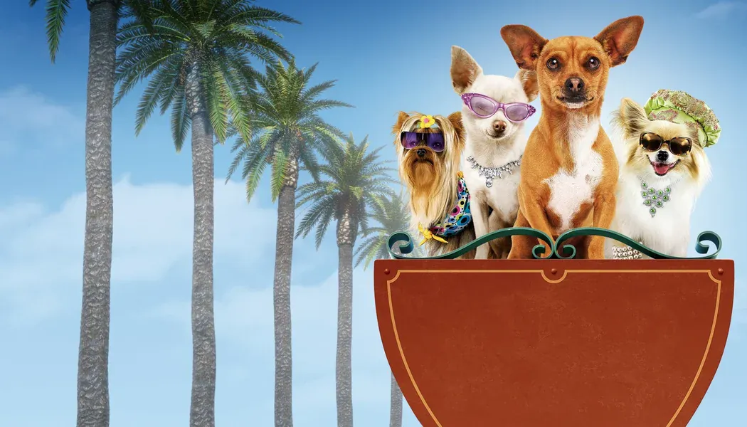 Beverly Hills Çuvava izle