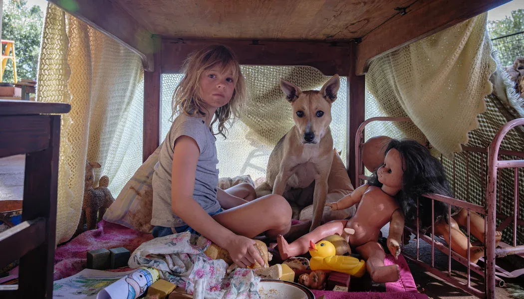 Bu Gece Köpeklere Gitmeyelim izle