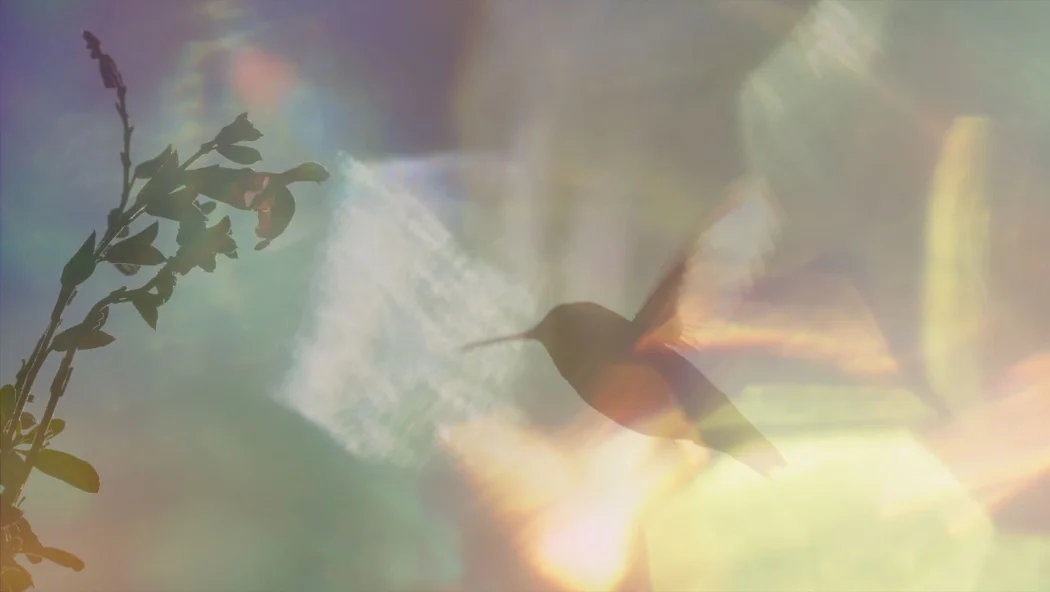 Every Little Thing izle
