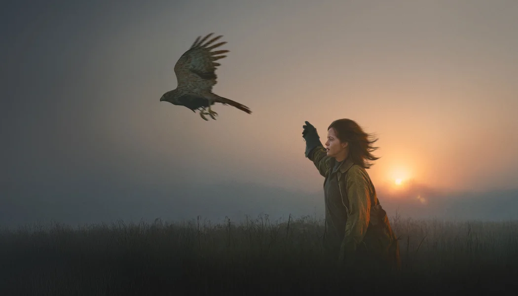 H Is for Hawk izle