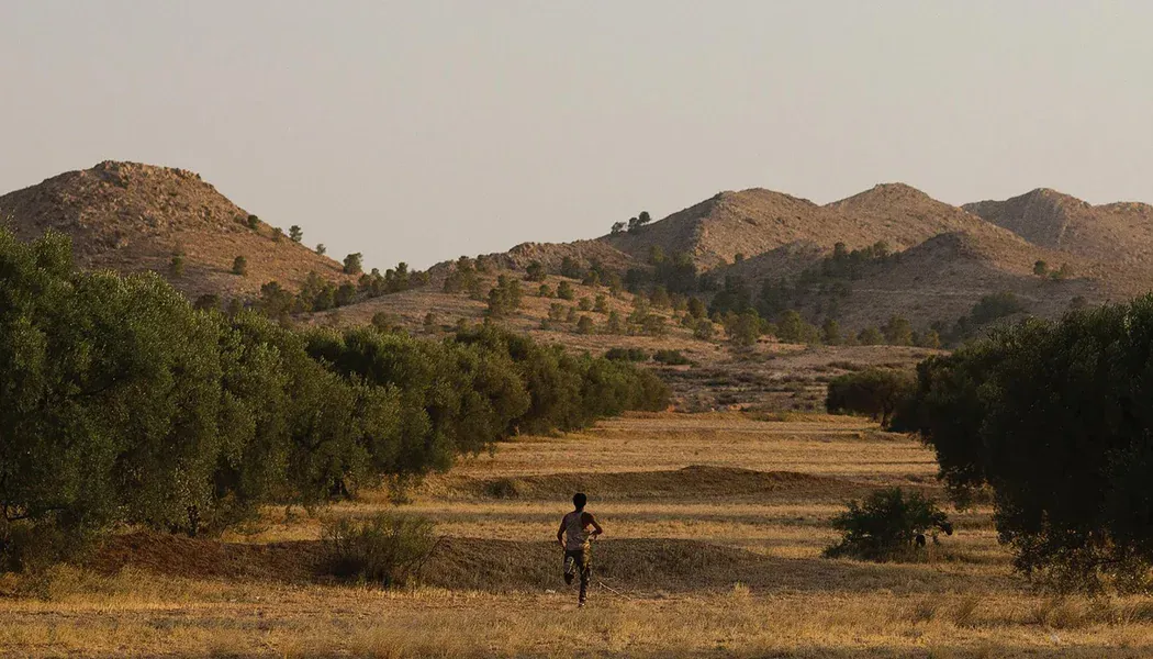 Harka izle