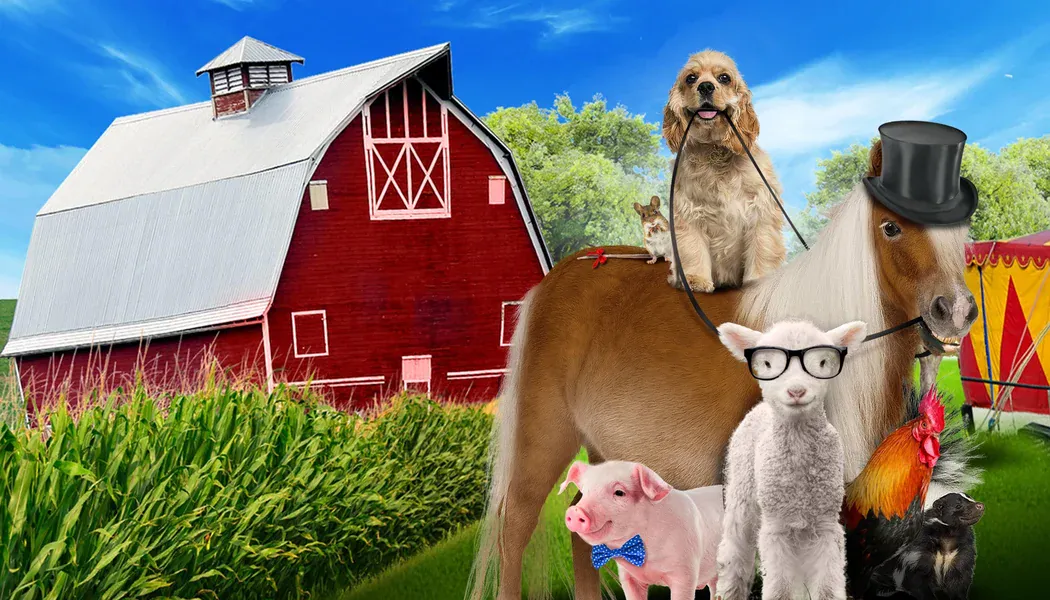 Köpek ve Midilli izle