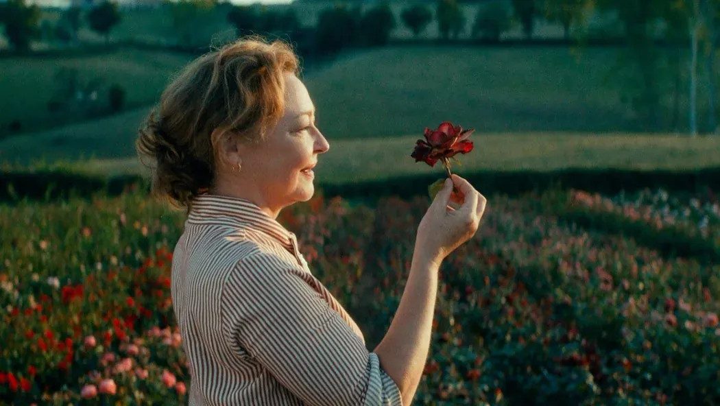 The Rose Maker izle
