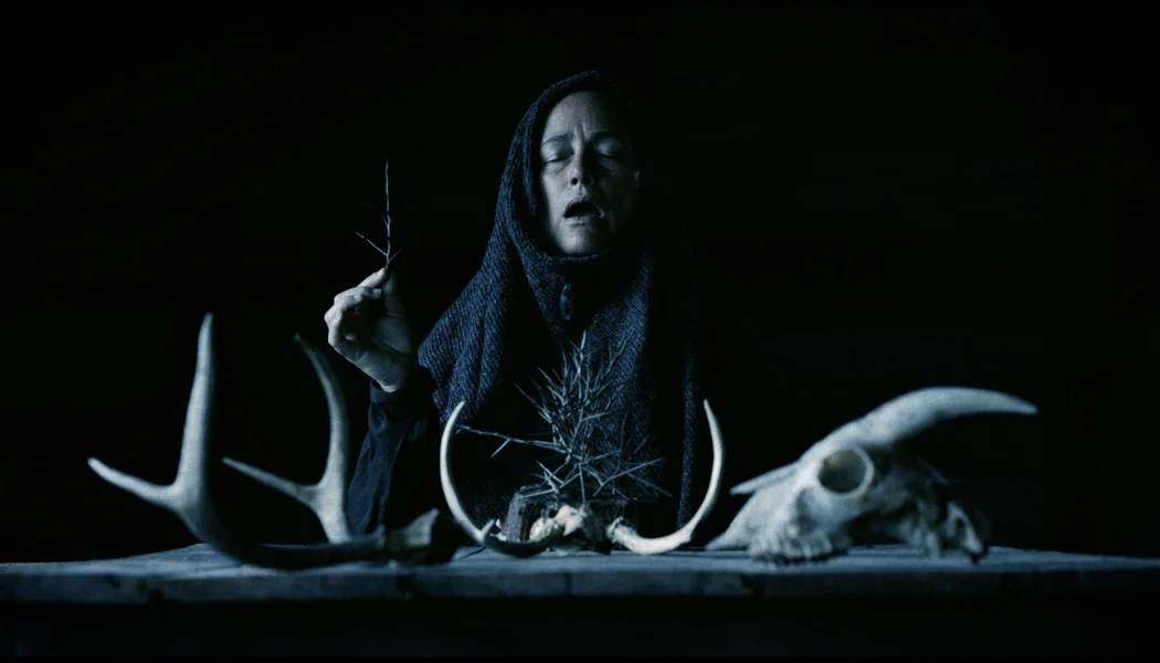 Mother of Flies izle