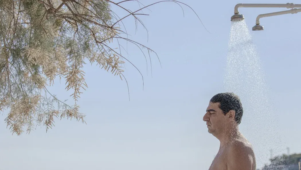 Zavallı izle