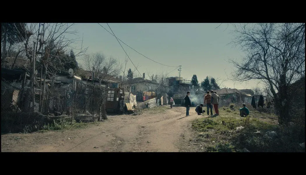 Pota izle