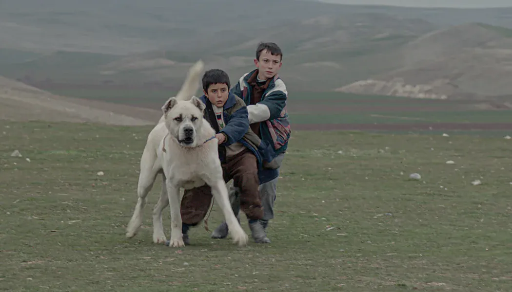 Sivas izle