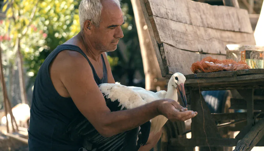 Silyan Efsanesi izle