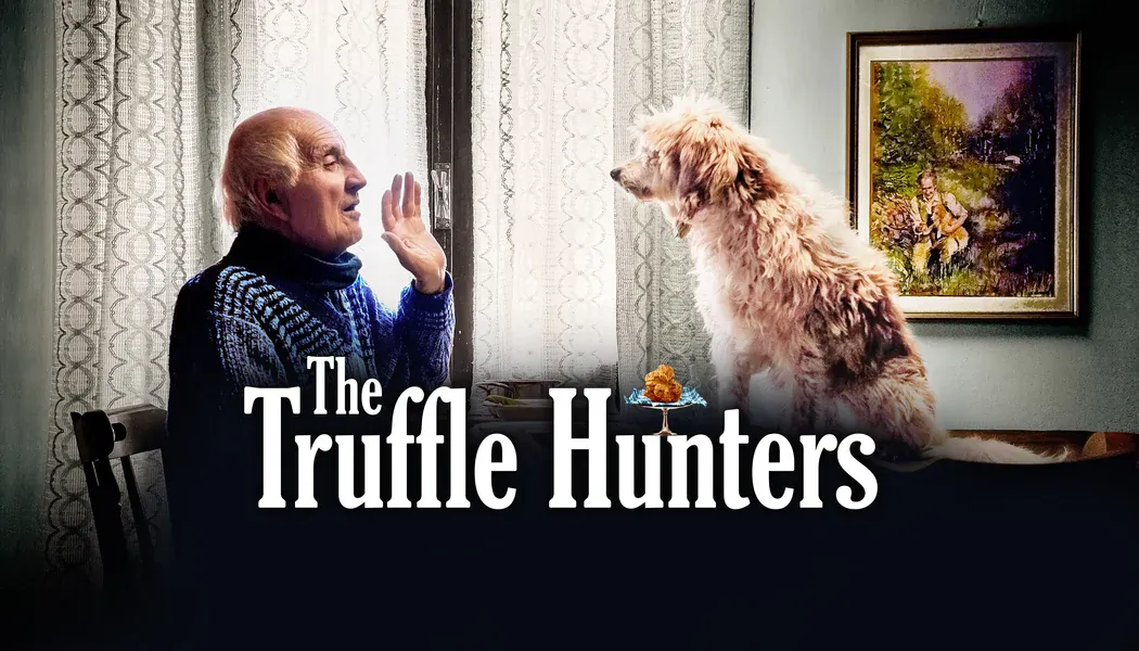 Trüf Avcıları izle